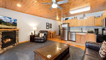 Smart TV, fireplace, DVD player, video library