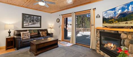 Smart TV, fireplace, DVD player, video library