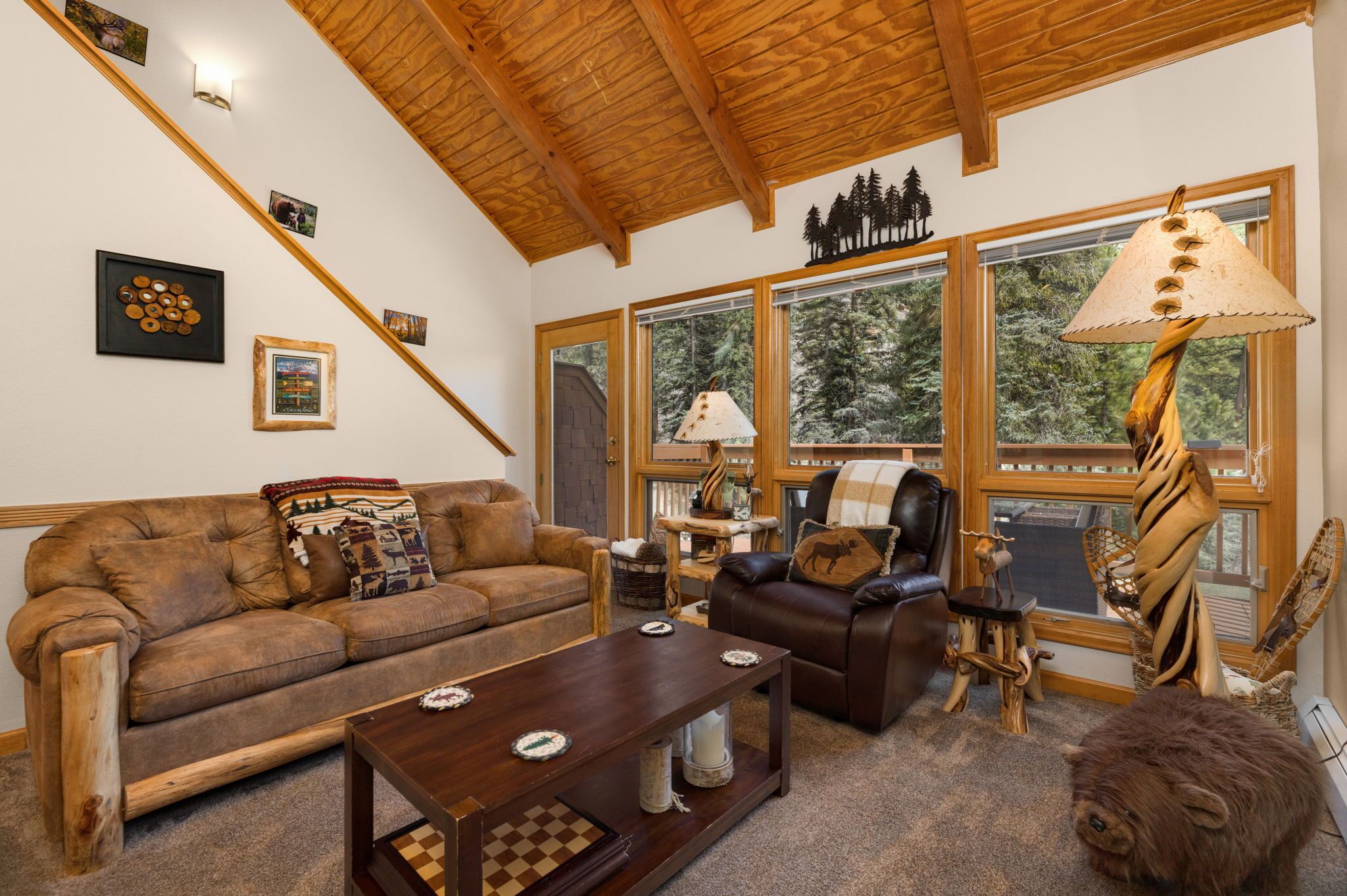 Smart-tv, pejs, dvd-afspiller, videobibliotek