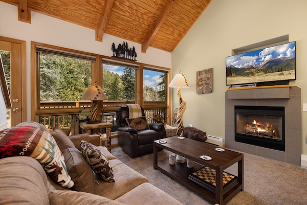 Smart TV, fireplace, DVD player, video library