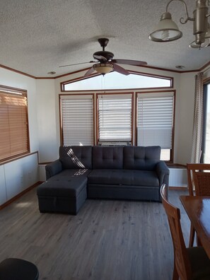 TV, DVD player, video library