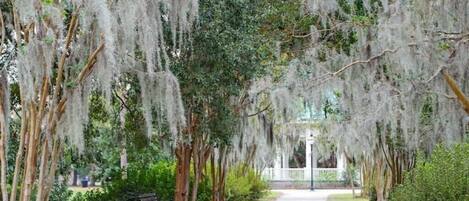 Jardines del alojamiento
