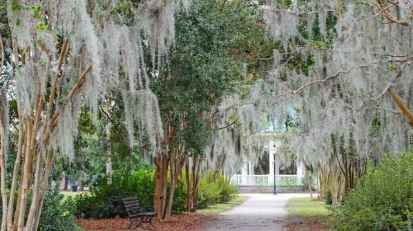 المنطقة المحيطة بالمنشأة