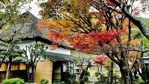 A traditional Japanese house with a thatched roof, surrounded by autumn foliage and a stone pathway. - Entire old house rental, complete rental, private sauna (Saga)