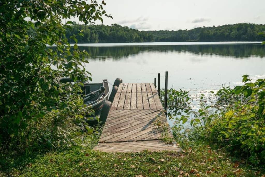 A wooden dock extending into a calm lake surrounded by dense greenery.