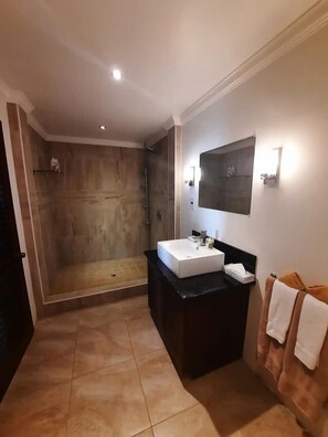Towels, soap, shampoo, toilet paper