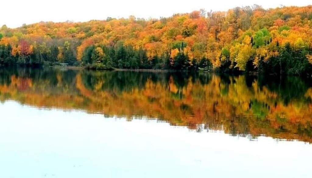 A calm lake with trees reflecting on the water.