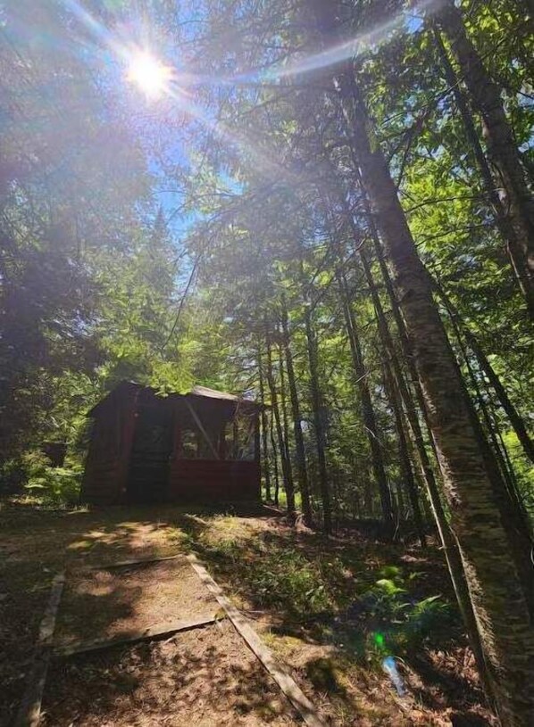 Property grounds - Tiny House Cabin -Presque Isle Campground #30 (Presque Isle)