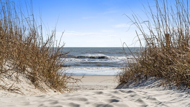 Une plage de sable avec des vagues, un ciel dégagé et de hautes herbes.