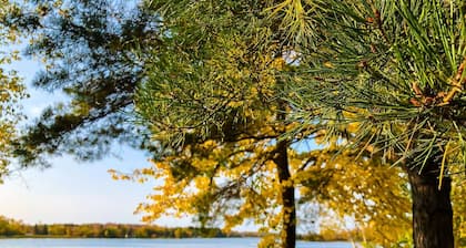 Bass Cabin at Spitzer | Lake & Waterfront Views | Legacy Lakeside Resort