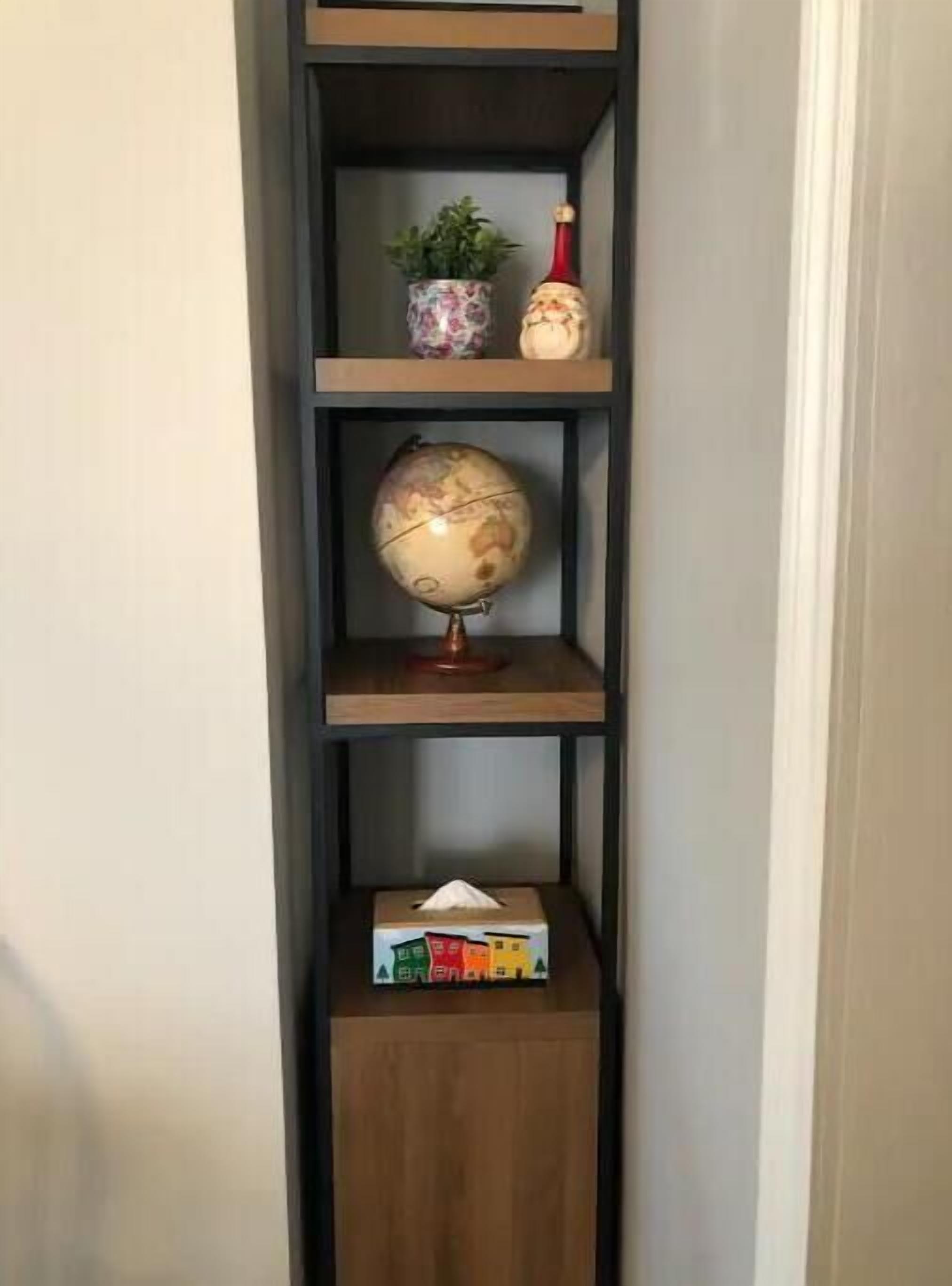 A shelf with a globe, a plant, and a box of tissues.
