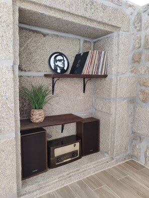 Una pared de piedra con un estante que sostiene un disco de vinilo, una planta y un libro.