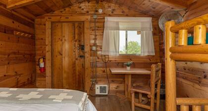 1 Room Dry Camping Cabin. Sleeps up to 4 in one queen bed and a set of twin bunks.