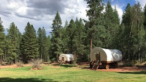 Acampamento de carroça coberta em área arborizada, com trilha de terra que leva até a carroça.