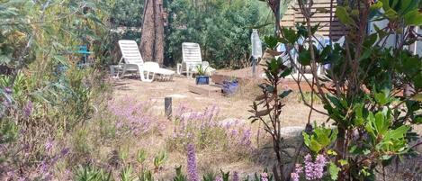 A garden area with lounge chairs, a small table, and various plants.