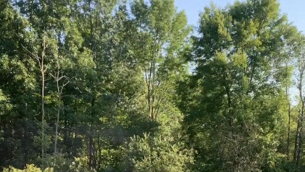 A deck with a view of a grassy area and trees. - Cozy Lake House near Pymatuning Lake (Jamestown)