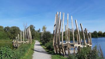 Eine Holzbrücke über einem ruhigen Fluss, umgeben von Grünpflanzen und Bäumen.
