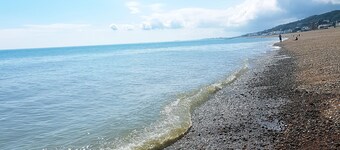 Seashell - Central Location Apartment Pet friendly!