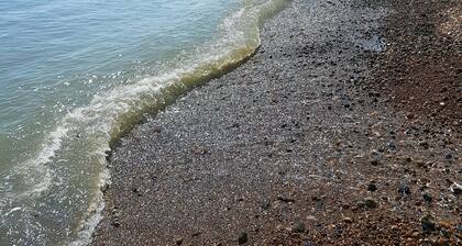 Seashell - Central Location Apartment Pet friendly!