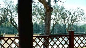Un espacio al aire libre cercado, con árboles y una valla metálica.