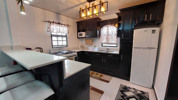 A compact kitchen with dark cabinets, a white refrigerator, a microwave, and a gas stove. - Cozy 2-bedroom apartment in central location with WiFi, AC (Demerara-Mahaica)