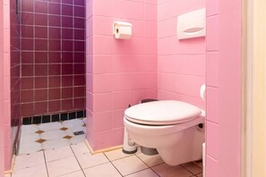 Shower, hair dryer, shampoo