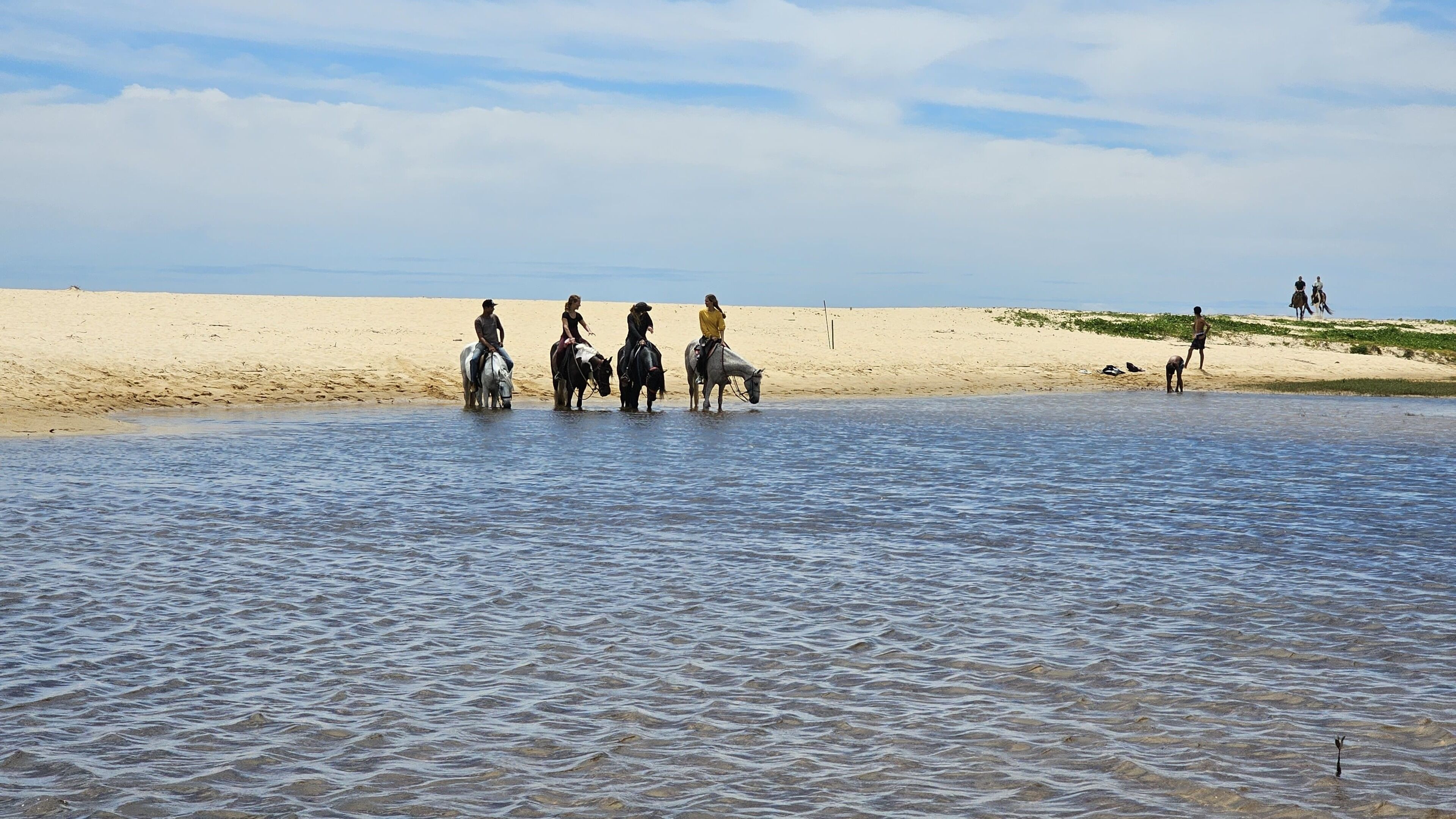 Una playa con caballos y jinetes cerca de la orilla.