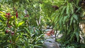 Um caminho no jardim, ladeado por vegetação exuberante e samambaias.