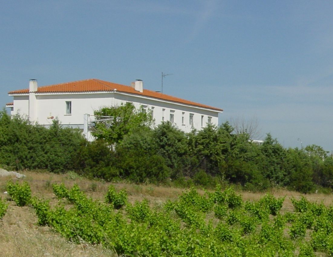 Un edificio blanco con techo rojo, rodeado de vegetación y un viñedo.