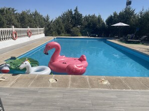 A swimming pool with a pink flamingo float and a white swan float. - Villa Preciosa (Méntrida)