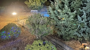 A nighttime landscape with a bench, illuminated plants, and a tree. - Villa Preciosa (Méntrida)