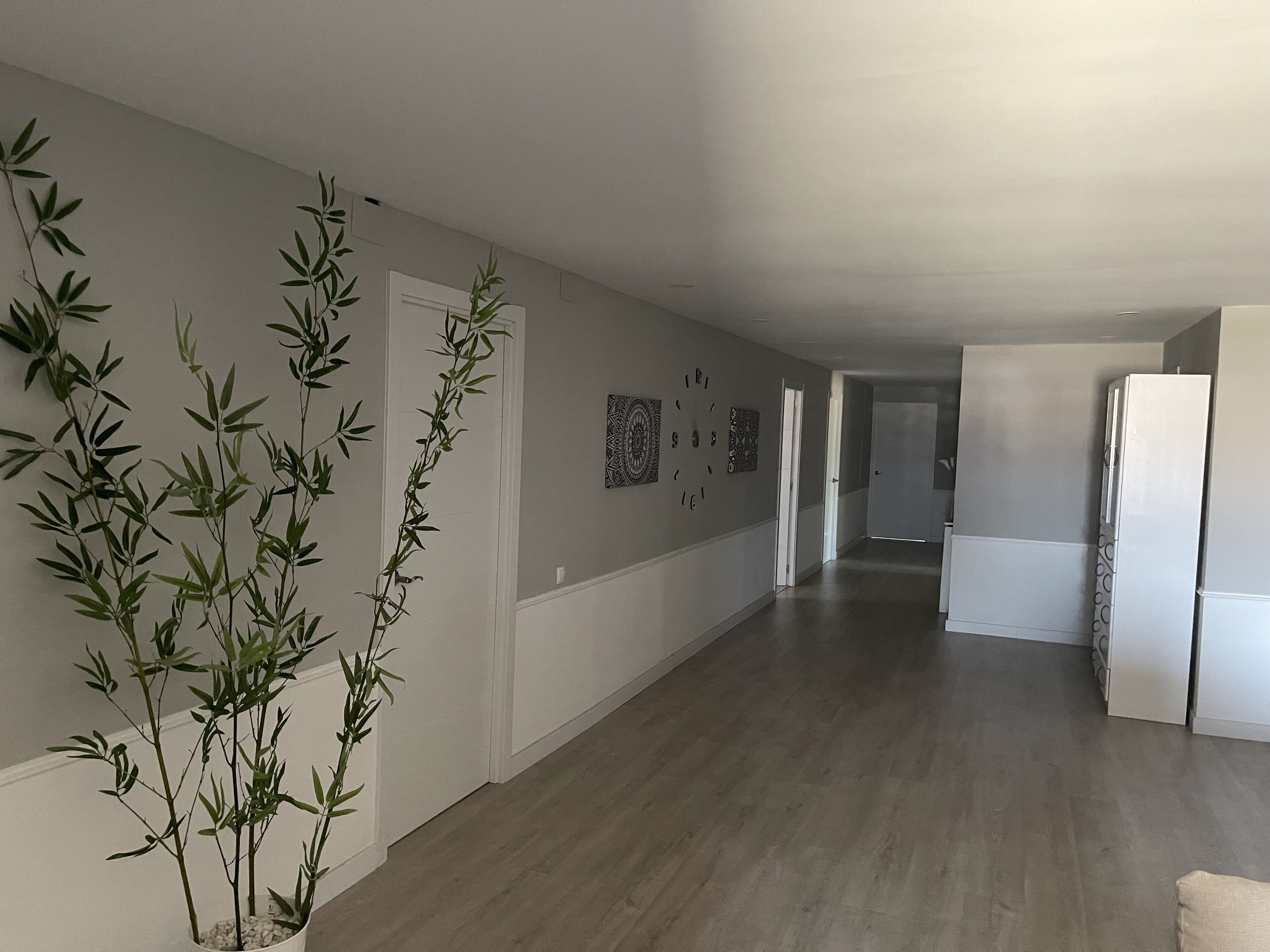 A hallway with a bamboo plant, a white door, and a refrigerator.
