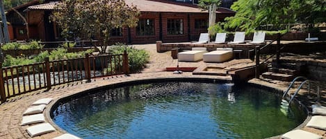 Outdoor pool, pool umbrellas, pool loungers