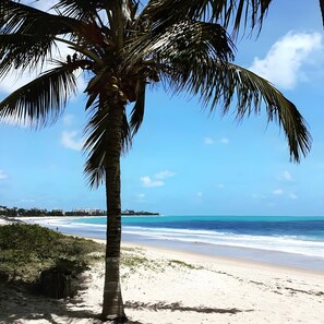 بالقرب من الشاطئ