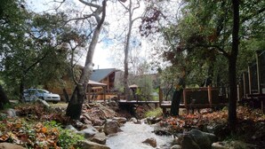 A wooden cabin with a stone bridge over a stream, surrounded by trees and rocks. - San Diego’s Luxury Mountain Cabin Retreat (El Cajon)