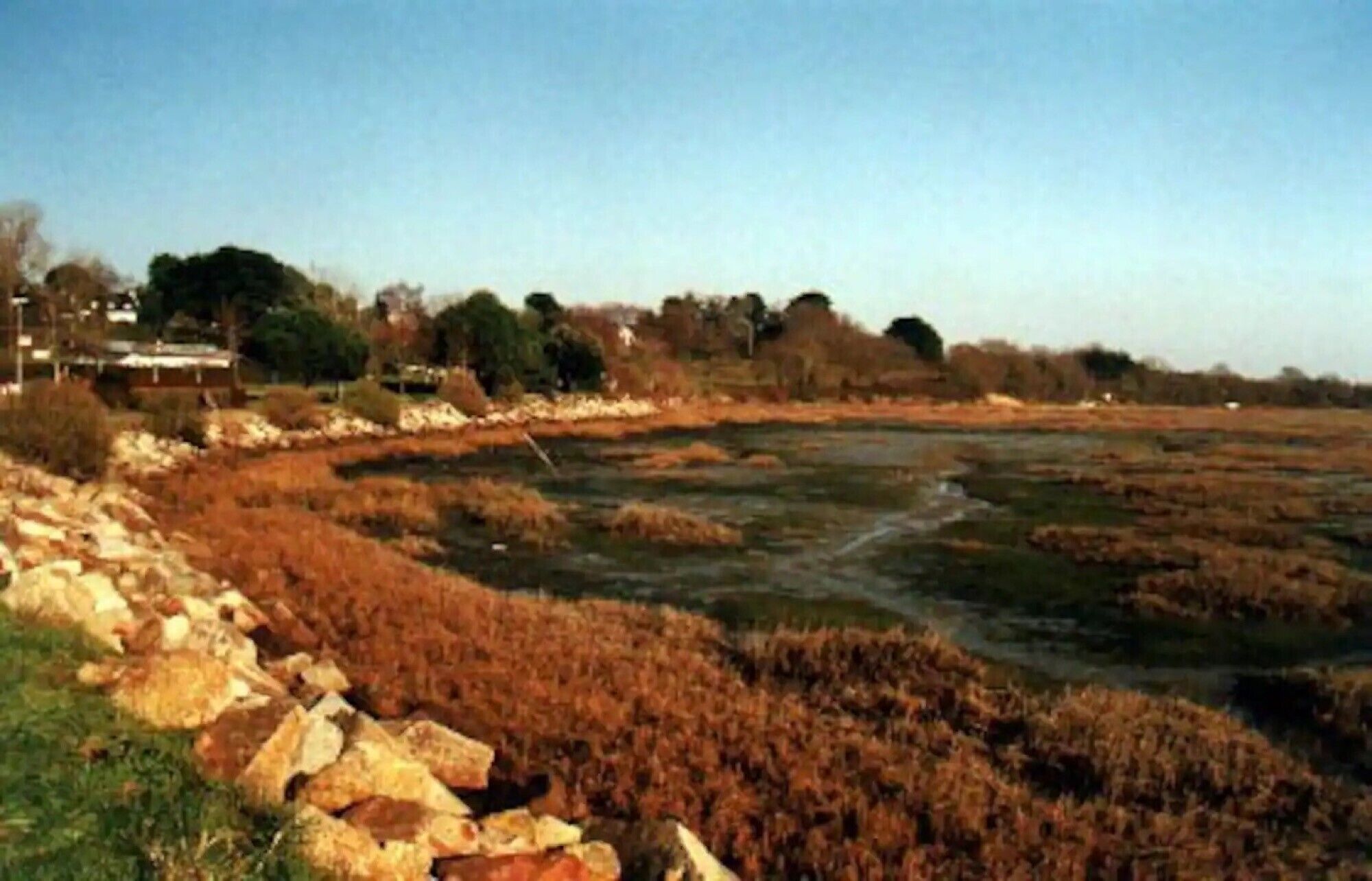 A natural landscape with a river, trees, and a stone wall.