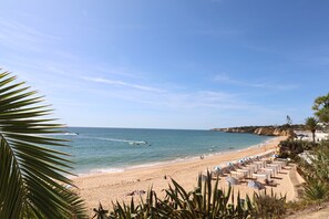 A beach with a clear sky, palm trees, and a row of beach chairs and umbrellas. - Villa 'Quinta Do Sol' with Sea View, Private Pool and Wi-Fi (Armação de Pêra)