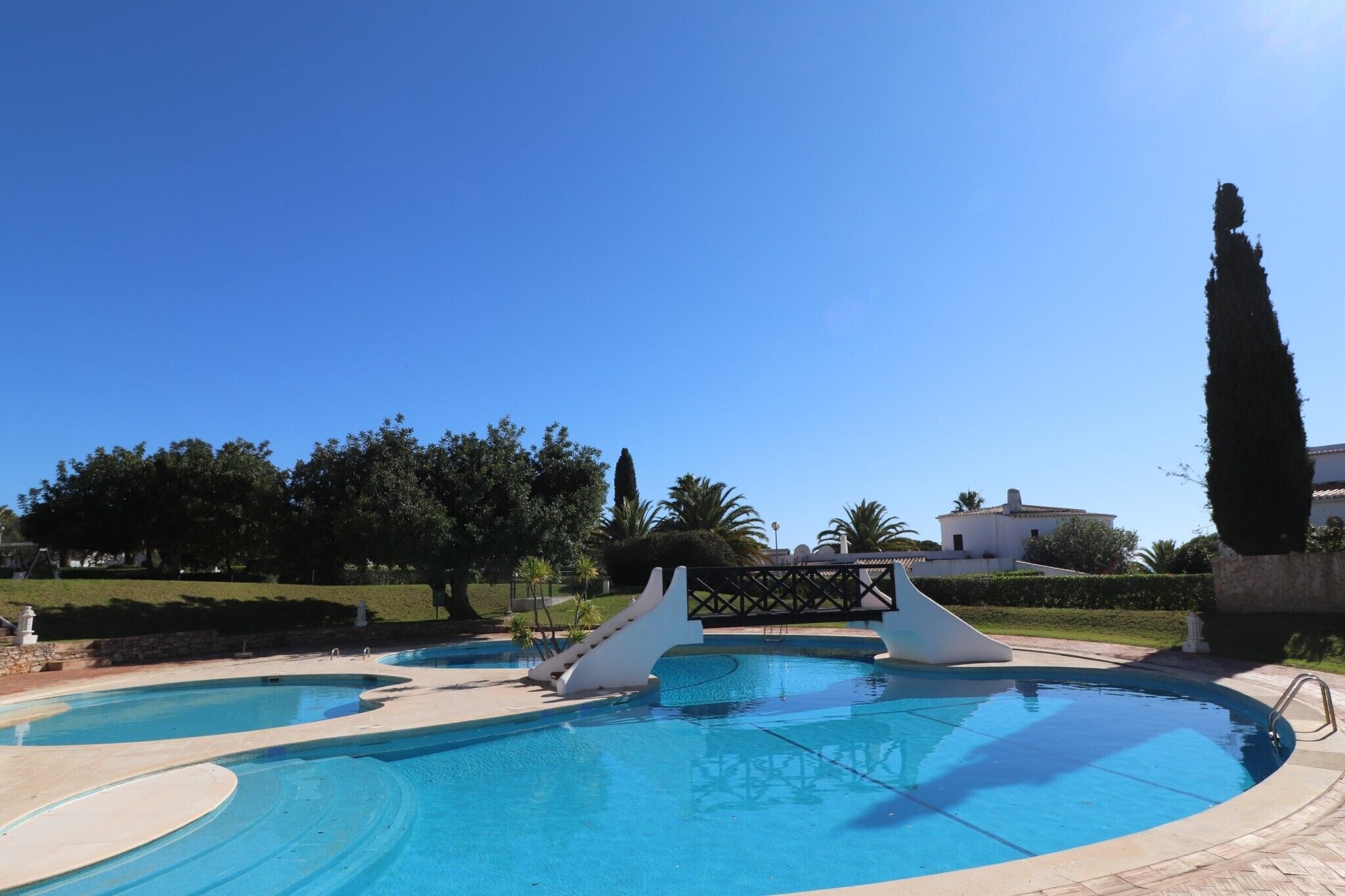 A swimming pool with a unique design, surrounded by a landscaped garden and a tall tree.