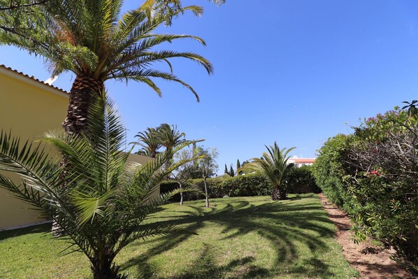 A well-maintained garden with palm trees and a clear blue sky.
