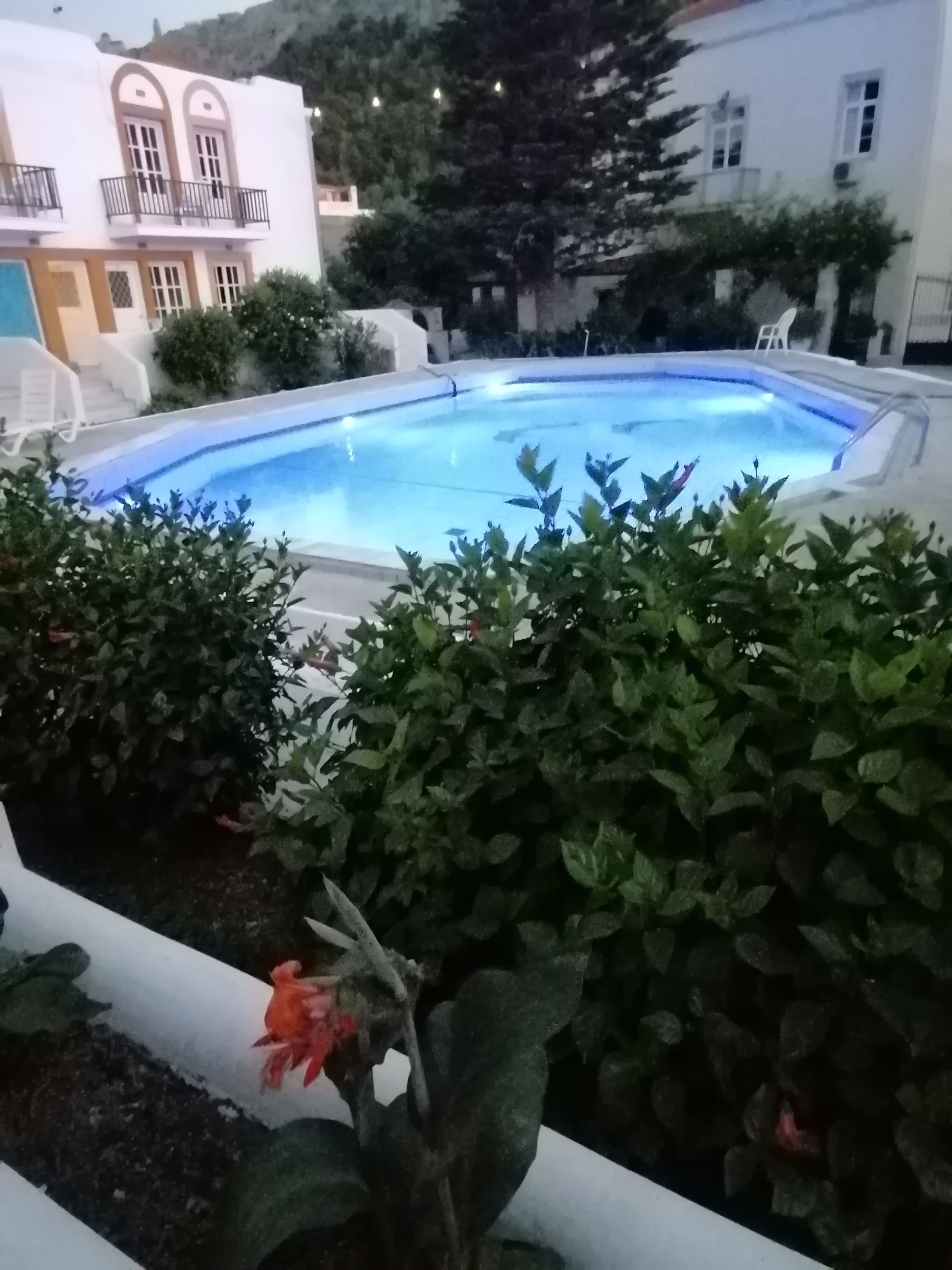 Una piscina circondata dal verde e un edificio bianco con balconi.