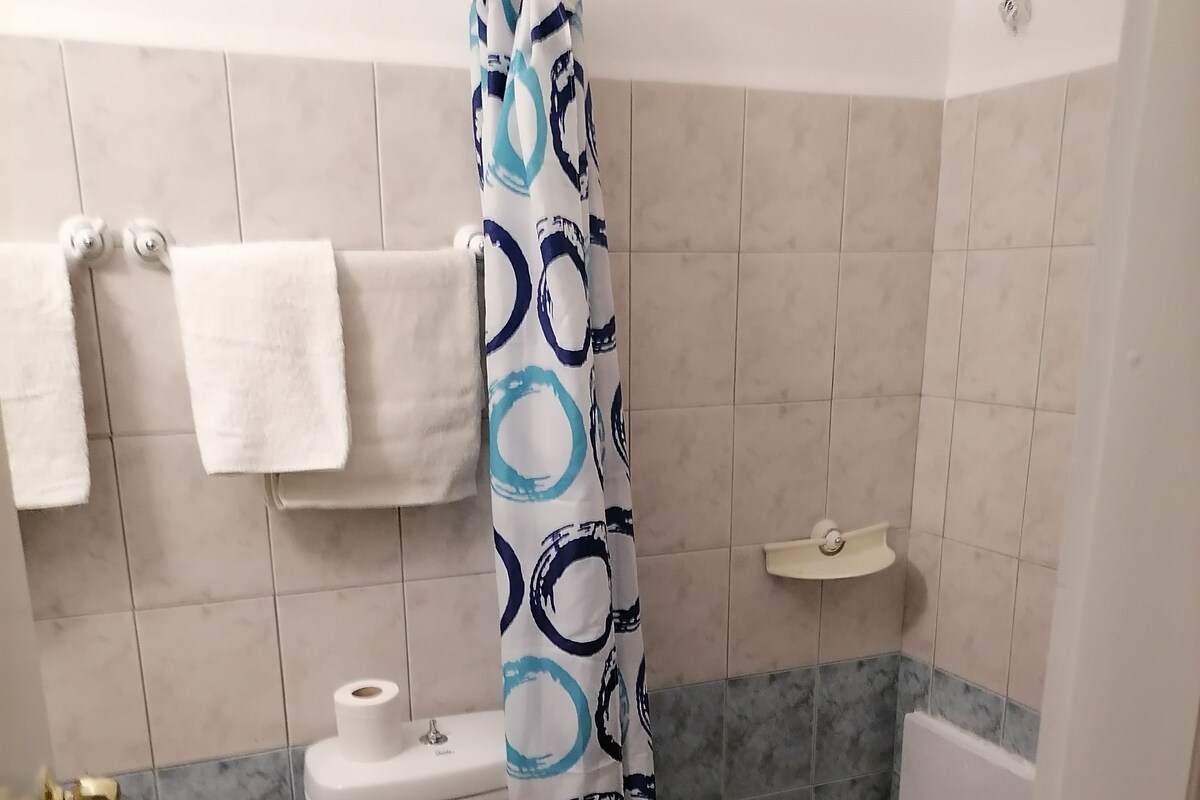A bathroom with a toilet, a shower curtain, a towel rack, and a toilet paper holder.