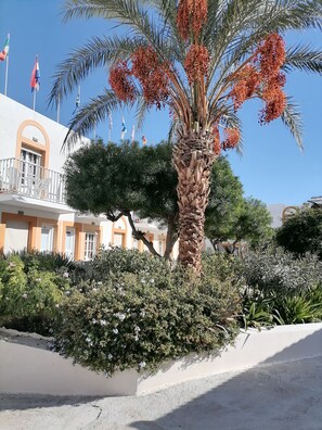 A building with a balcony, palm trees, and various plants.