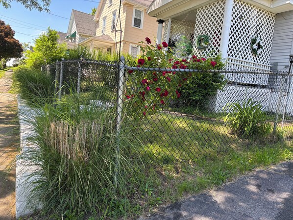 Front of property