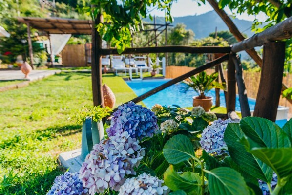 A garden with a pool, surrounded by lush greenery and hydrangeas.