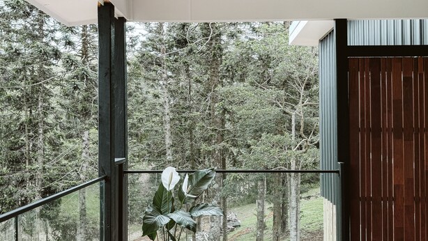 A balcony with a wooden floor, a potted plant, and a view of a forest. - Wallaby 2 Bed, 1 Bath Cottage - Private Parkland Setting with Lake View (North Maleny)