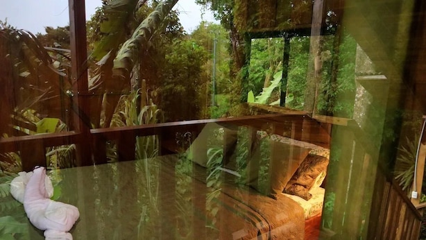 A glass-enclosed room with a bed and a view of a lush garden.