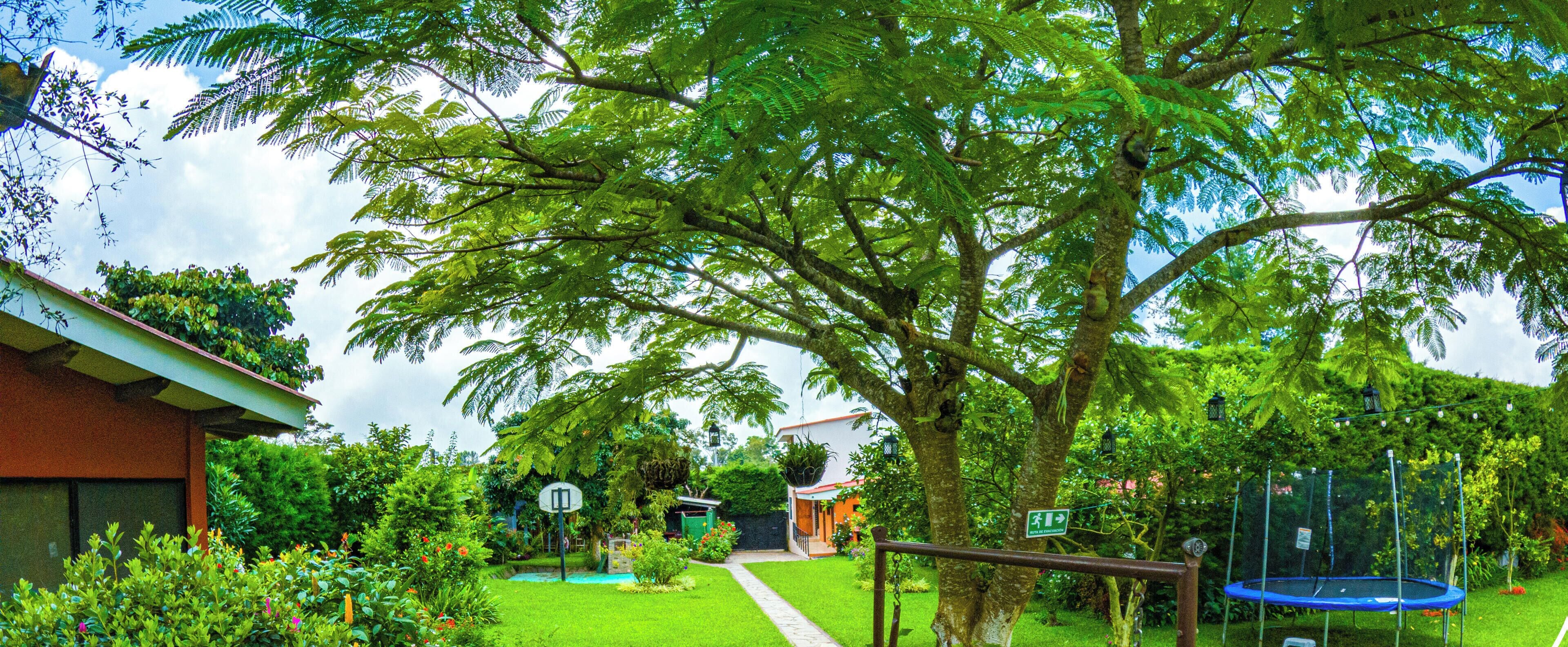 Ngoại thất