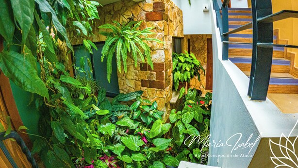 Un jardin intérieur luxuriant, avec différentes plantes et un mur en pierre.