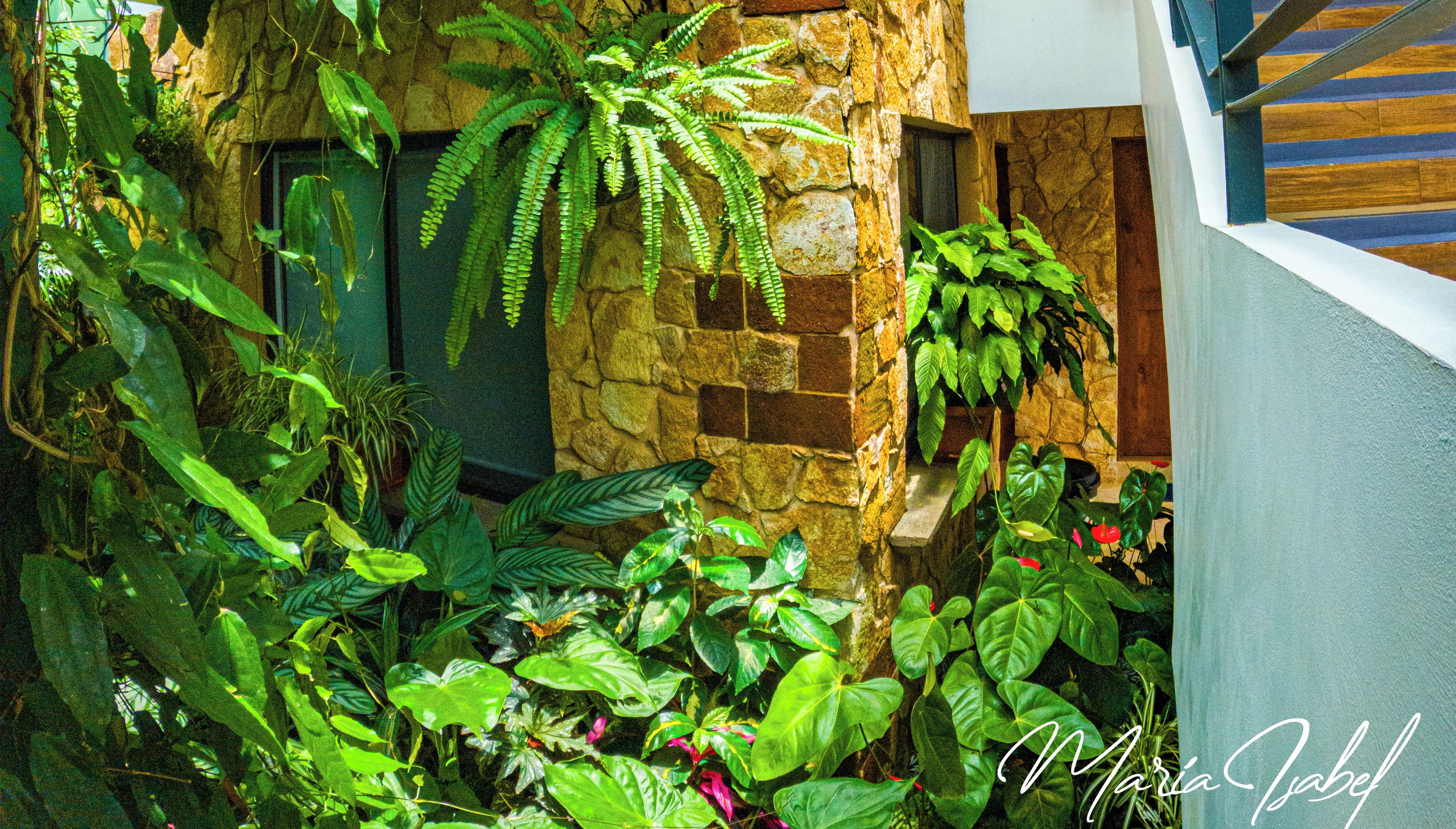 A lush garden area with various plants and a stone wall.