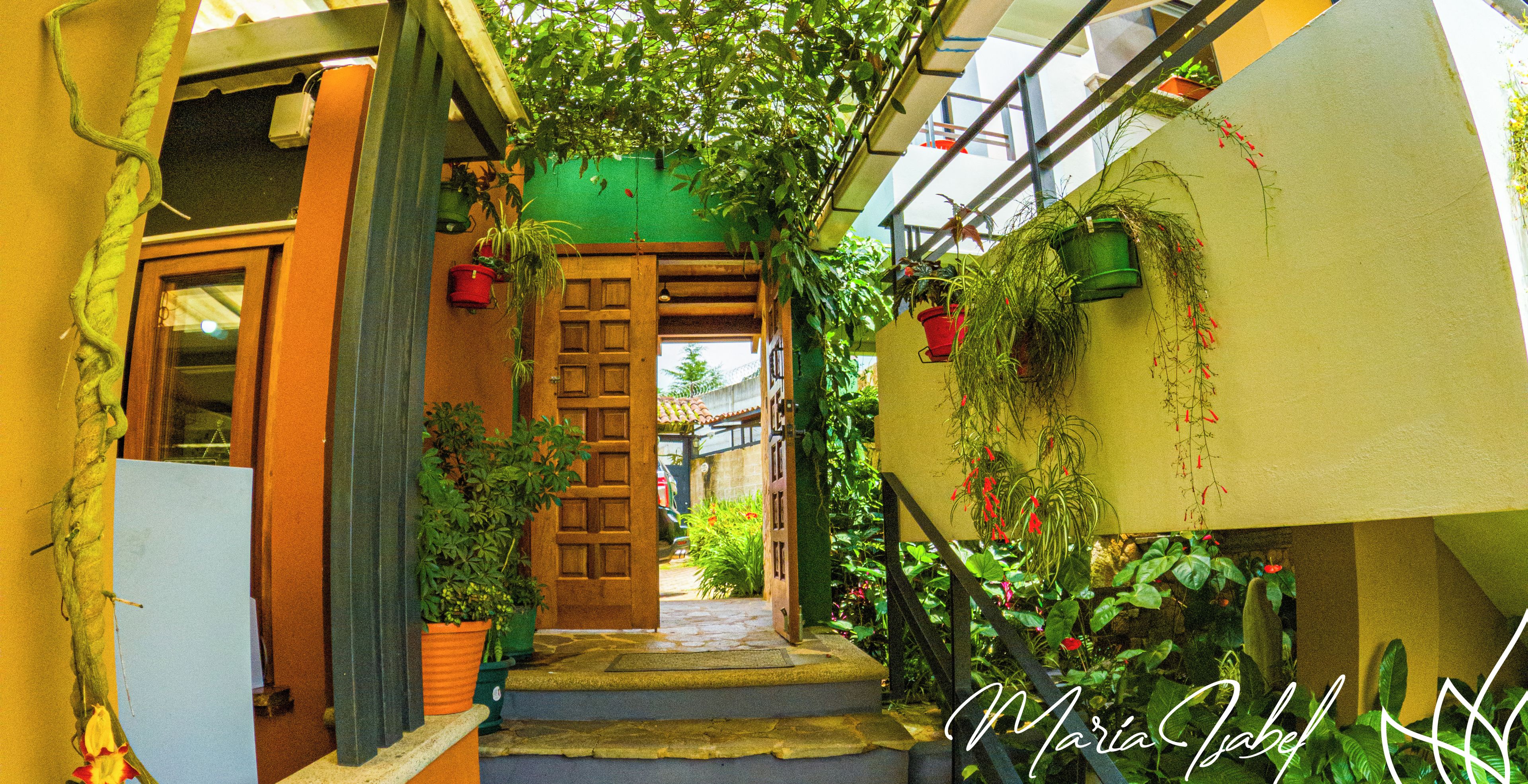 A narrow alleyway with a wooden door leading to a courtyard, surrounded by potted plants and greenery.
